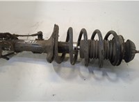  Амортизатор подвески Chevrolet Aveo (T250 / 255) 2006-2012 20510867 #1