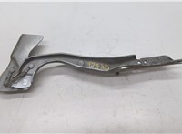  Петля капота Ford Expedition 2002-2006 20511048 #1