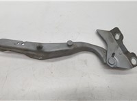  Петля капота Ford Expedition 2002-2006 20511048 #2