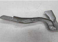  Петля капота Ford Expedition 2002-2006 20511053 #1
