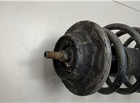 7H0413031N, 7E0411105A Амортизатор подвески Volkswagen Transporter 5 2003-2015 20511236 #2