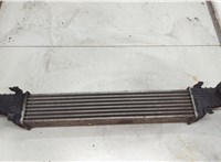  Радиатор интеркулера Mercedes E W211 2002-2009 20511682 #1