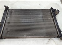  Радиатор охлаждения двигателя Chevrolet Aveo (T250 / 255) 2006-2012 20511737 #1