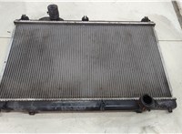  Радиатор охлаждения двигателя Ford Focus 2 2005-2008 20511770 #1