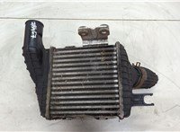  Радиатор интеркулера Hyundai Tucson 1 2004-2010 20511783 #2