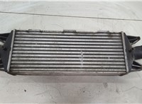  Радиатор интеркулера Iveco Daily 3 2000-2005 20511796 #1