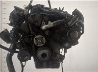  Двигатель (ДВС) Ford Transit 2006-2014 20512146 #1
