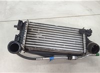  Радиатор интеркулера Ford Focus 3 2014-2019 20512569 #1