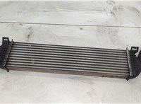  Радиатор интеркулера Ford C-Max 2002-2010 20512857 #1