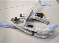 4F9880742A Подушка безопасности боковая (шторка) Audi A6 (C6) 2004-2011 20513022 #1
