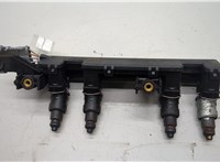 8200603801, 8200465550 Форсунка топливная Renault Clio 1998-2008 20513255 #1