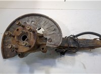  Ступица (кулак, цапфа) Volkswagen Touareg 2002-2007 20513993 #1