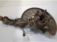  Ступица (кулак, цапфа) Volkswagen Touareg 2002-2007 20513995 #1