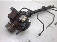 1720038, AV6Q9A543CB, 9676289780 ТНВД Ford Focus 3 2011-2015 20514102 #1