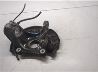 3C0407254F Кулак поворотный Volkswagen Passat 6 2005-2010 20514246 #1