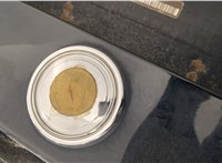  Амортизатор крышки багажника BMW X5 E70 2006-2013 11452613 #6