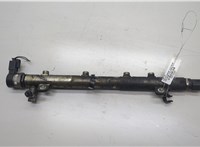  Рампа (рейка) топливная Mercedes Vito W639 2003-2014 20515149 #1