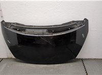  Обшивка капота Renault Espace 4 2002- 11453055 #1