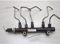  Рампа (рейка) топливная Peugeot 3008 2009-2016 20515833 #1