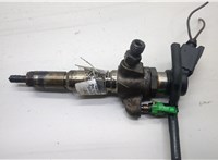  Форсунка топливная Ford Focus 3 2011-2015 20516618 #1