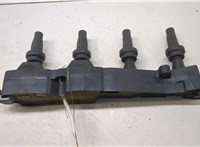 597099 Катушка зажигания Peugeot 206 1998-2012 20517143 #1