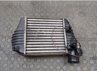 Радиатор интеркулера Audi A6 (C6) 2004-2011 20517268 #1