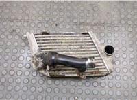  Радиатор интеркулера Audi A8 (D3) 2002-2010 20517561 #1