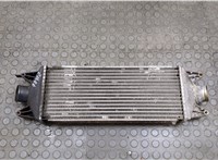  Радиатор интеркулера Iveco Daily 3 2000-2005 20517613 #1