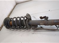  Амортизатор подвески Land Rover Freelander 2 2006-2014 20517801 #4