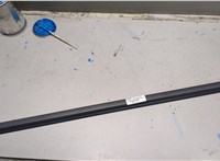 808211AA0A Молдинг стекла (боковое) Nissan Murano 2008-2015 20518421 #1