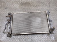  Радиатор охлаждения двигателя Ford Focus 1 1998-2004 20518625 #1