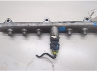  Рампа (рейка) топливная Hyundai H-1 Starex 2007-2021 20519309 #1