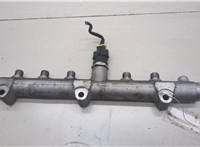  Рампа (рейка) топливная Hyundai H-1 Starex 2007-2021 20519309 #3