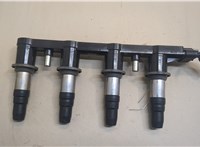  Катушка зажигания Chevrolet Aveo (T250 / 255) 2006-2012 20519319 #1