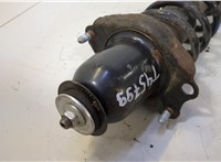  Амортизатор подвески Toyota Prius 2003-2009 20519584 #4