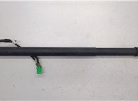 9817432080 Амортизатор крышки багажника Citroen C5 Aircross 2018-2025 20519701 #1
