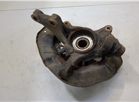  Ступица (кулак, цапфа) Lexus RX 2003-2009 20519804 #1