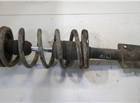  Амортизатор подвески Fiat Ducato 1994-2006 20519821 #1