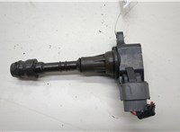 224488J115, 224338J115 Катушка зажигания Nissan Murano 2002-2008 20520074 #1