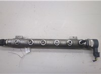  Рампа (рейка) топливная Hyundai Tucson 1 2004-2010 20520625 #1