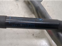  Петля капота BMW 5 F10 2010-2017 20520752 #4