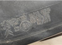  Зеркало боковое Citroen C3 2009-2016 20521286 #5