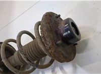 4180259JB0, 4131159JB0 Амортизатор подвески Suzuki Liana 20521361 #2