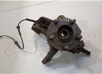  Ступица (кулак, цапфа) Ford Transit (Tourneo) Connect 2002-2013 20521427 #1