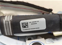 2184419, DS73N042D95AM Подушка безопасности боковая (шторка) Ford Mondeo 5 2015-2019 20521941 #2