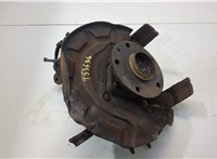 8V0498625B, 5Q0407256N Ступица (кулак, цапфа) Skoda Octavia (A7) 2013-2023 20522035 #1