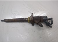 1980L1 Форсунка топливная Citroen C3 picasso 2009-2017 20522463 #1