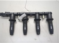  Катушка зажигания Opel Astra H 2004-2010 20522599 #1