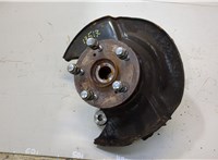 44600SJKJ00, 51216STKA01, 45255STKA00 Ступица (кулак, цапфа) Acura RDX 2006-2013 20523256 #1