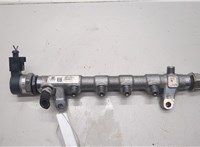  Рампа (рейка) топливная Audi A4 (B8) Allroad 2009-2016 20523357 #1